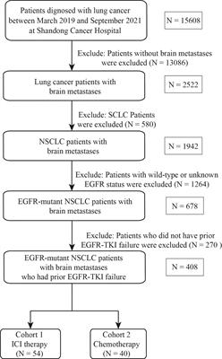 Efficacy of immune checkpoint inhibitor therapy in EGFR mutation-positive patients with NSCLC and brain metastases who have failed EGFR-TKI therapy